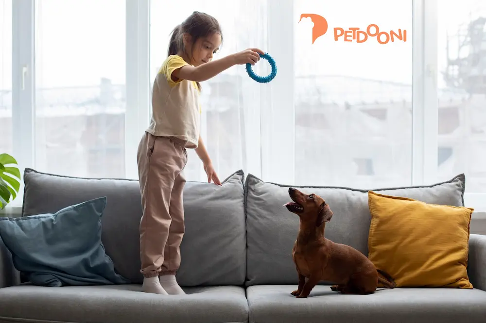 6 نکته مهم برای خرید اسباب‌بازی سگ که هر صاحب سگی باید بداند | پت‌شاپ آنلاین پتدونی